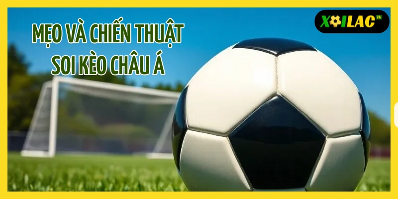 Chiến thuật soi kèo châu Á chính xác cho dân cược chuyên nghiệp